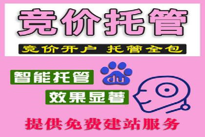 搜索引擎优化（SEM）在移动端的实践案例